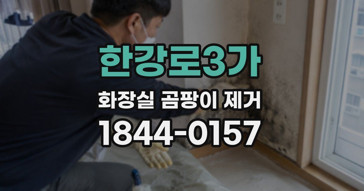 한강로3가 화장실 곰팡이 제거
