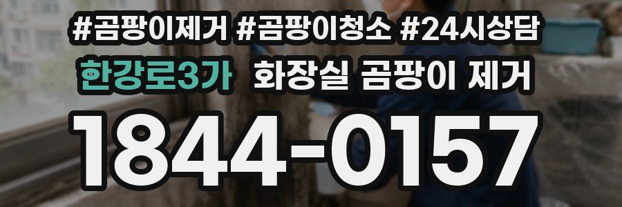 한강로3가 화장실 곰팡이 제거