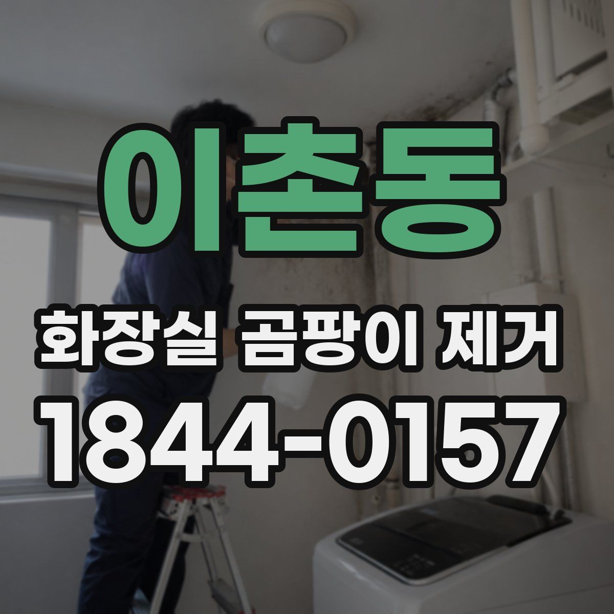 이촌동 화장실 곰팡이 제거