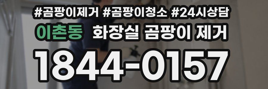 이촌동 화장실 곰팡이 제거