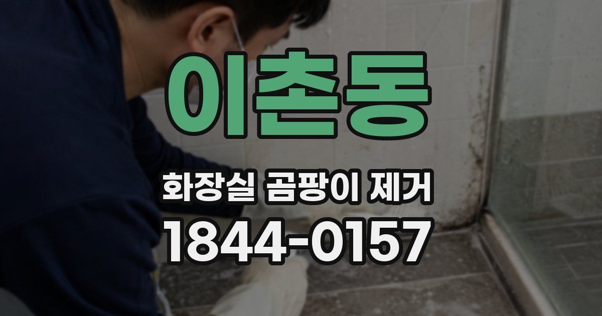 이촌동 화장실 곰팡이 제거