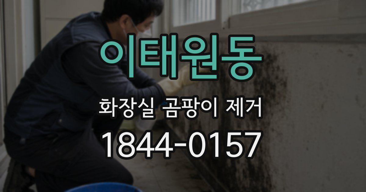 이태원동 화장실 곰팡이 제거