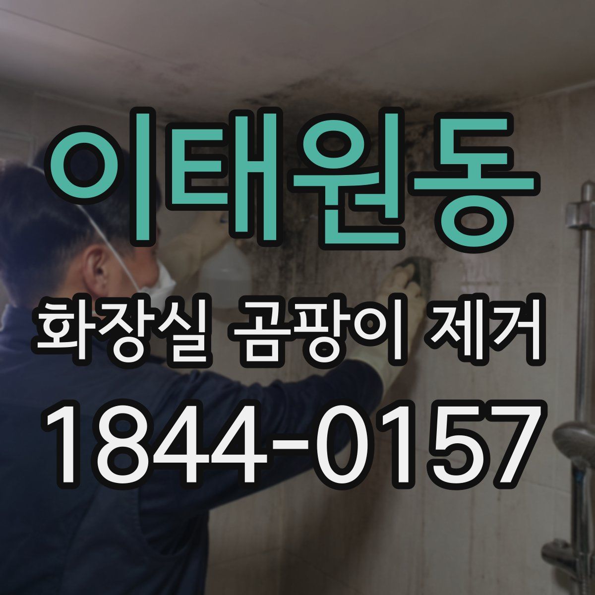 이태원동 화장실 곰팡이 제거