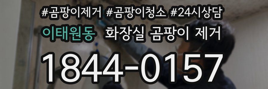 이태원동 화장실 곰팡이 제거