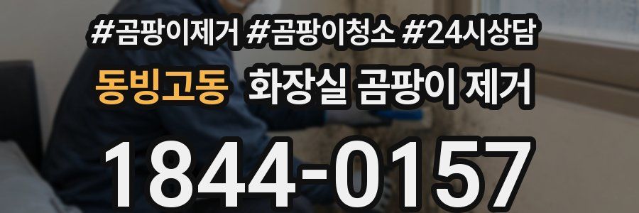 동빙고동 화장실 곰팡이 제거