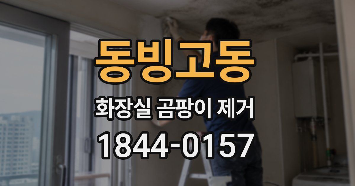 동빙고동 화장실 곰팡이 제거