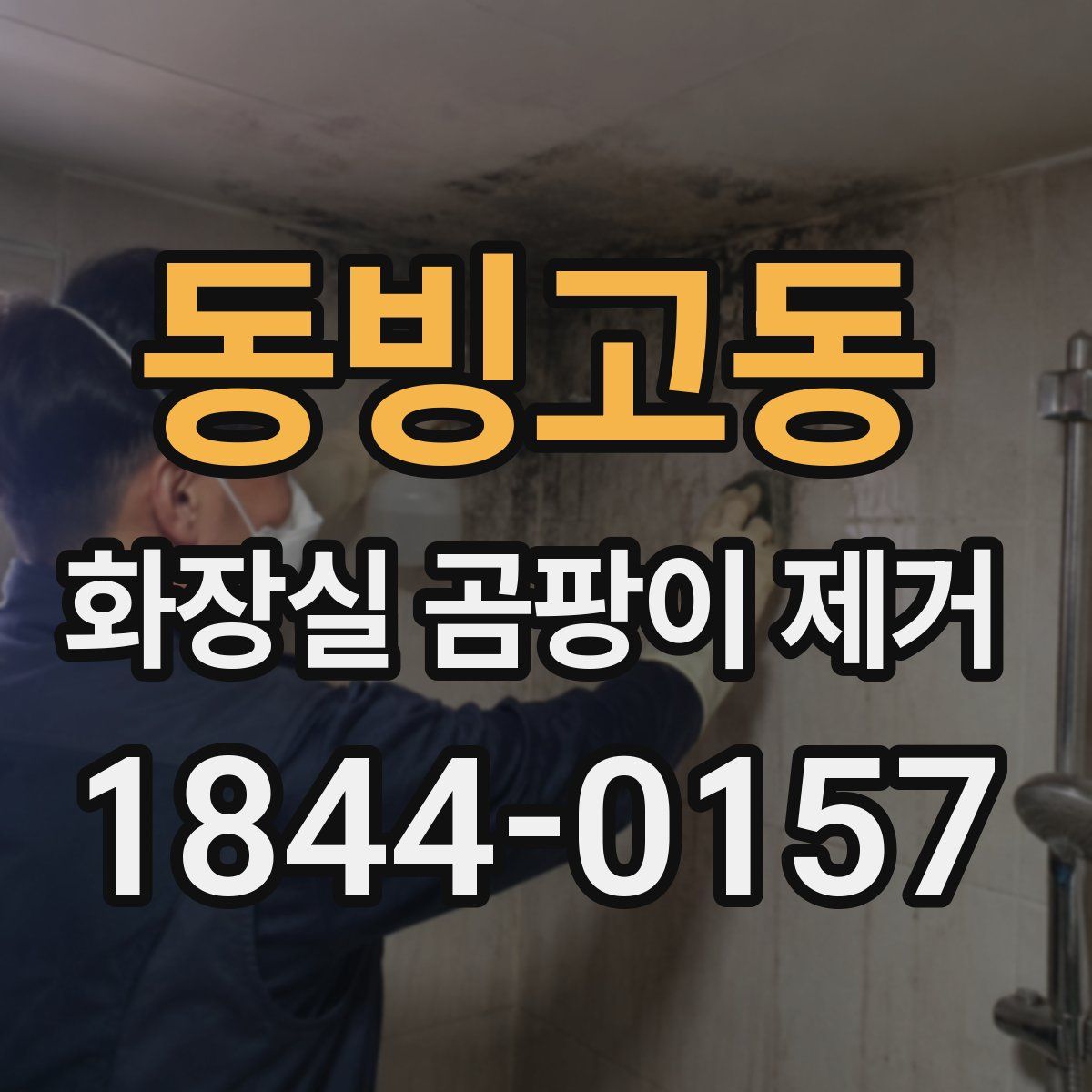 동빙고동 화장실 곰팡이 제거