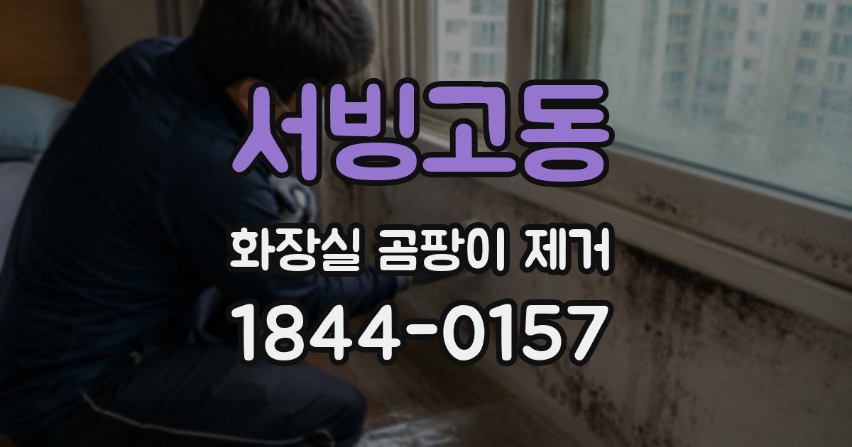 서빙고동 화장실 곰팡이 제거