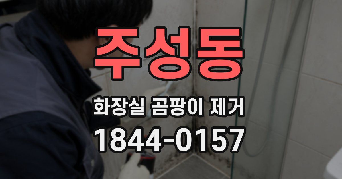 주성동 화장실 곰팡이 제거