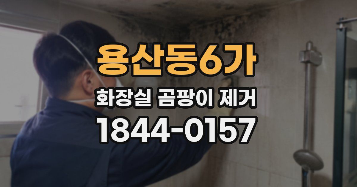 용산동6가 화장실 곰팡이 제거