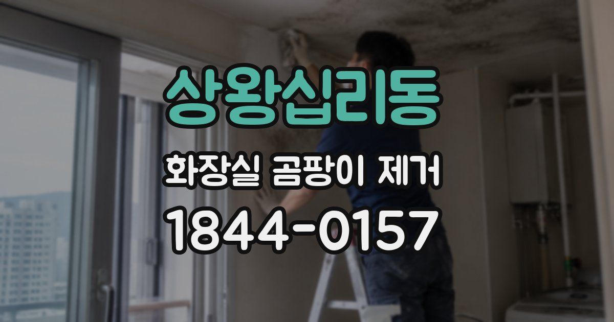 상왕십리동 화장실 곰팡이 제거