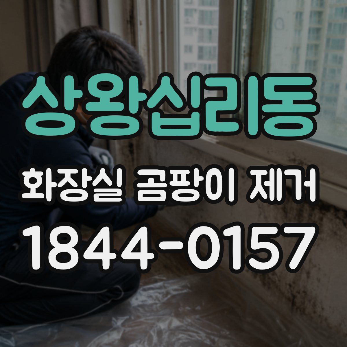 상왕십리동 화장실 곰팡이 제거