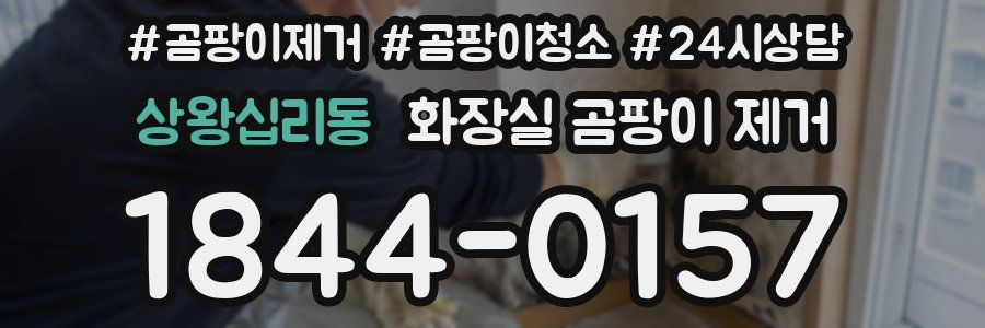 상왕십리동 화장실 곰팡이 제거
