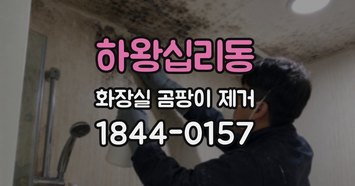 하왕십리동 화장실 곰팡이 제거