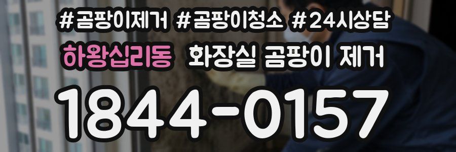 하왕십리동 화장실 곰팡이 제거