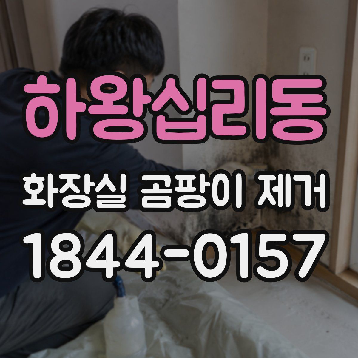 하왕십리동 화장실 곰팡이 제거