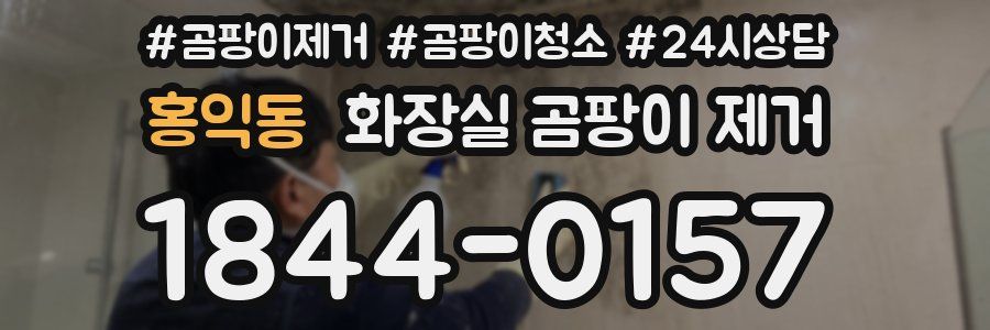 홍익동 화장실 곰팡이 제거