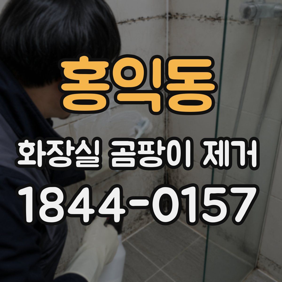 홍익동 화장실 곰팡이 제거