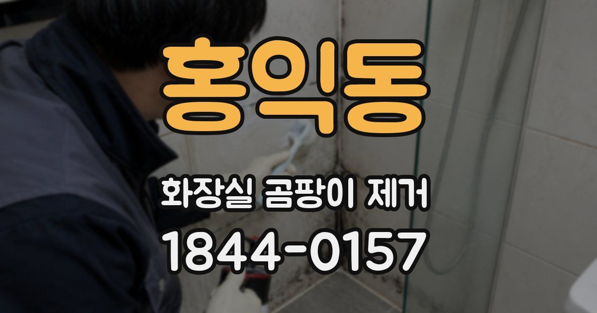 홍익동 화장실 곰팡이 제거