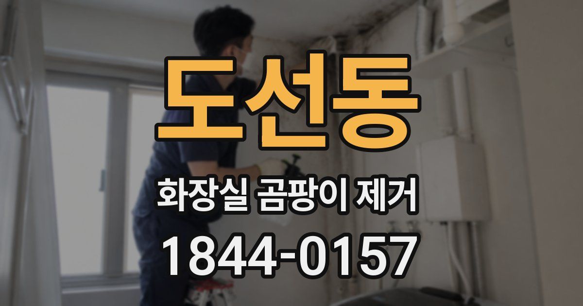도선동 화장실 곰팡이 제거