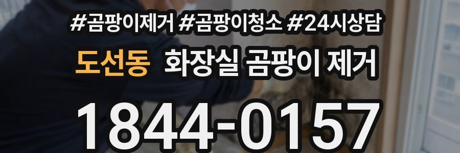 도선동 화장실 곰팡이 제거
