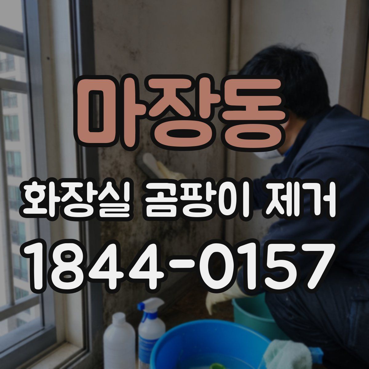 마장동 화장실 곰팡이 제거