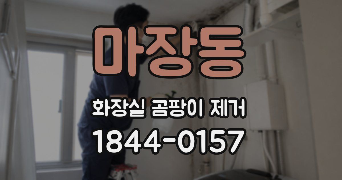 마장동 화장실 곰팡이 제거