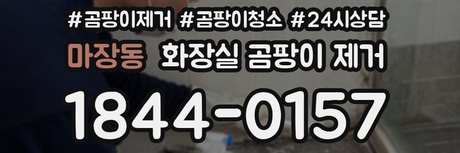 마장동 화장실 곰팡이 제거
