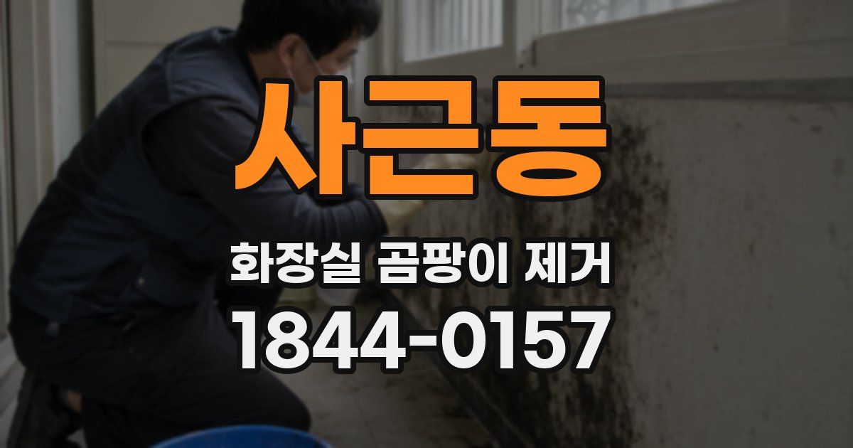 사근동 화장실 곰팡이 제거
