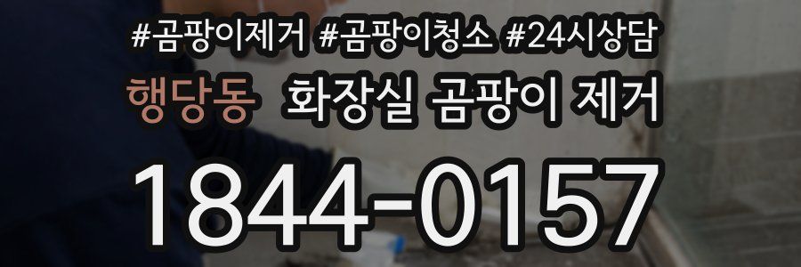 행당동 화장실 곰팡이 제거