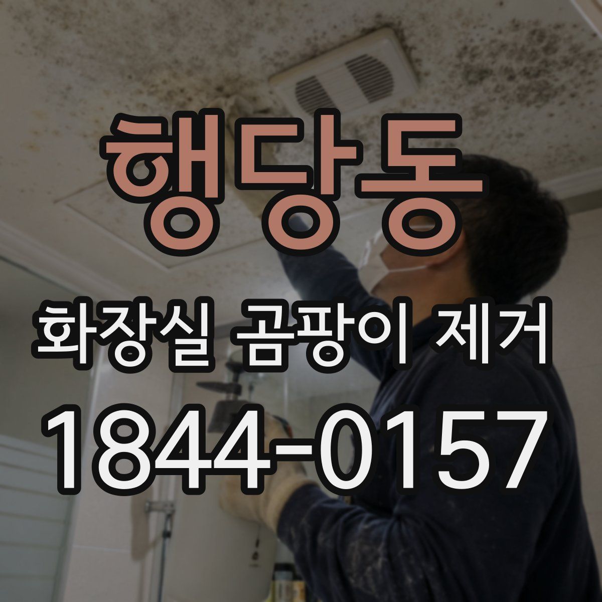행당동 화장실 곰팡이 제거