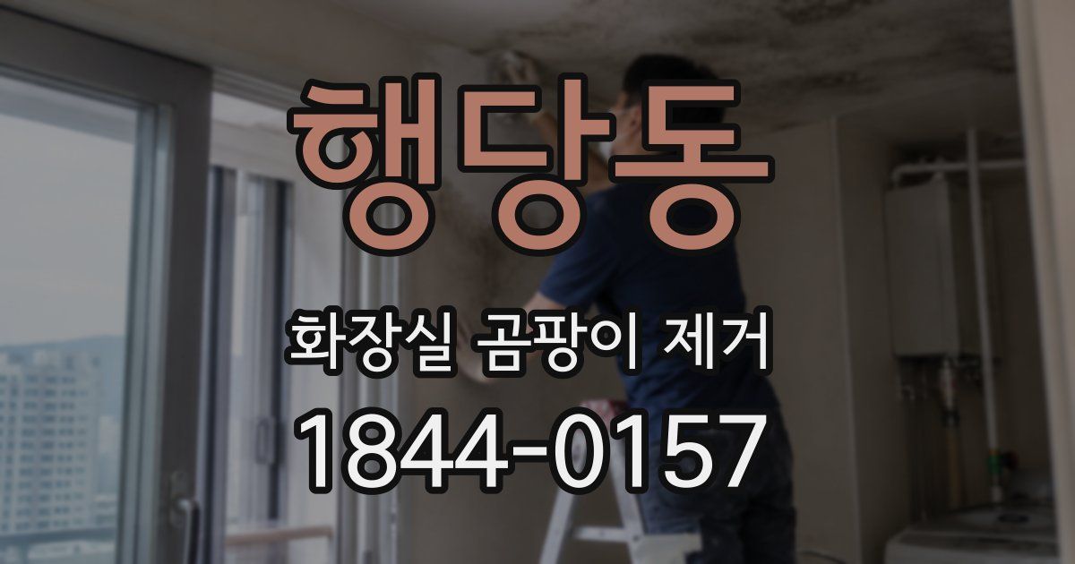행당동 화장실 곰팡이 제거