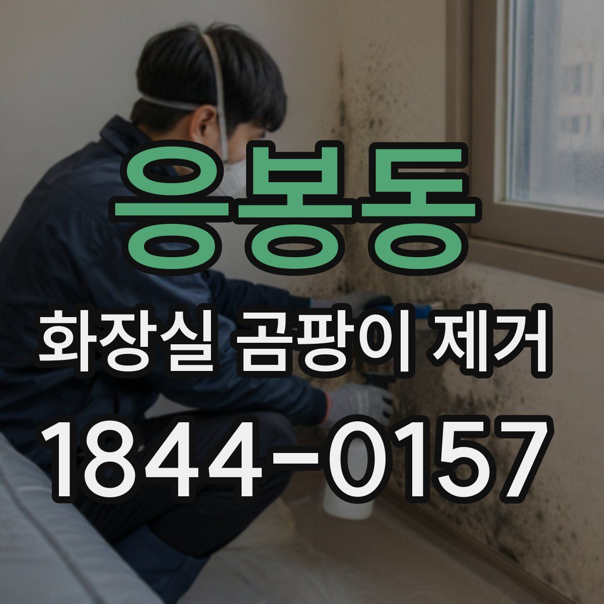 응봉동 화장실 곰팡이 제거