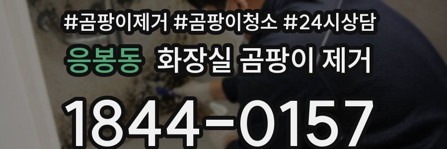 응봉동 화장실 곰팡이 제거