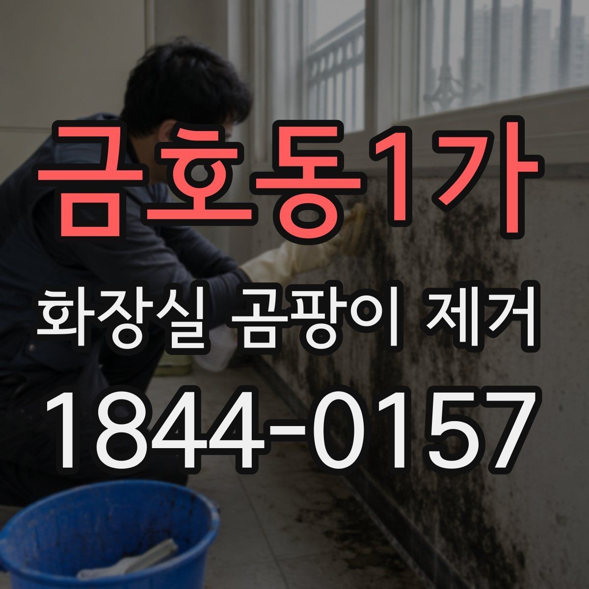 금호동1가 화장실 곰팡이 제거 후 건조 습관을 바꾸면 달라지는 점