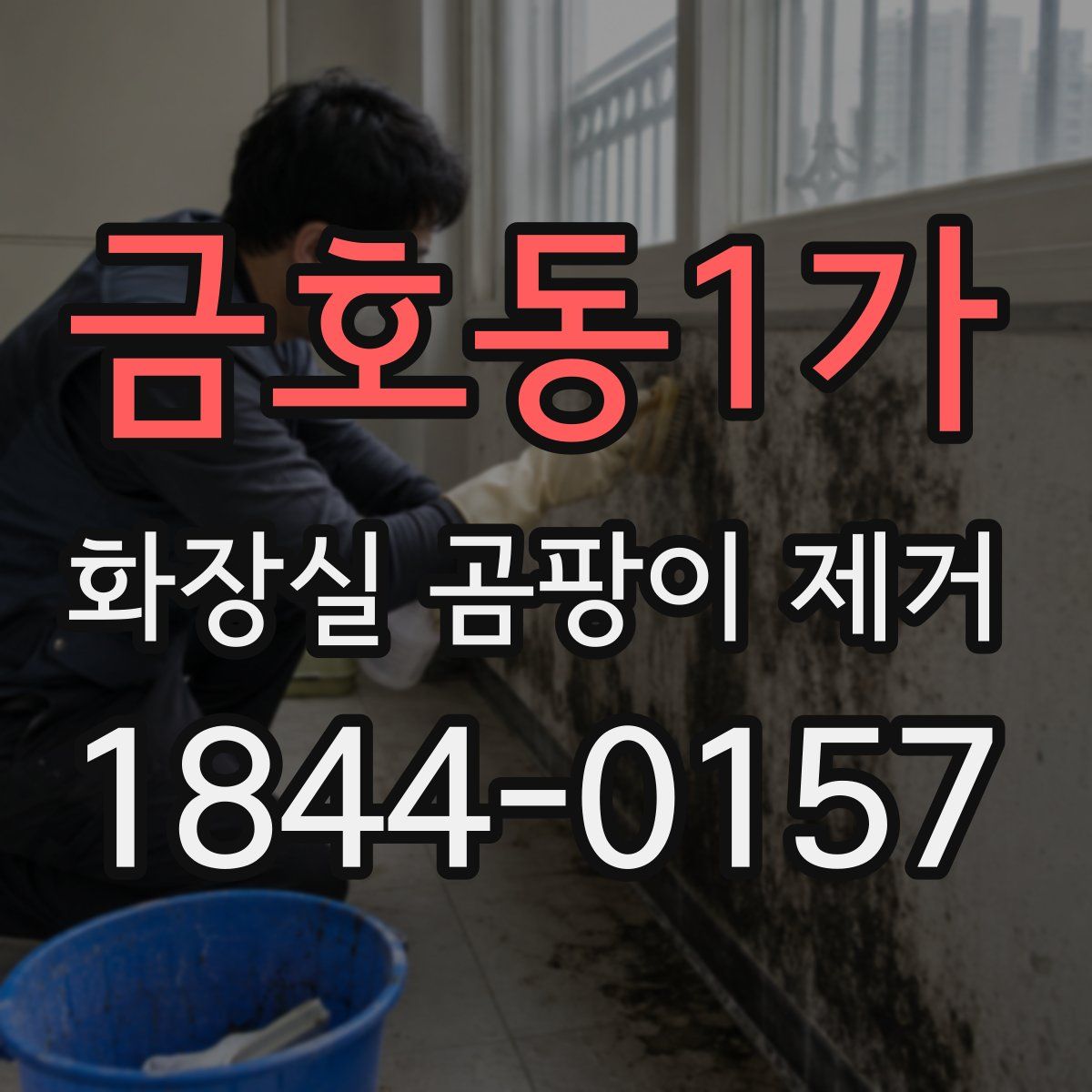금호동1가 화장실 곰팡이 제거