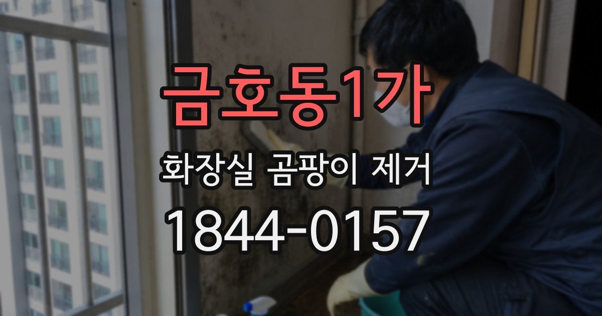 금호동1가 화장실 곰팡이 제거