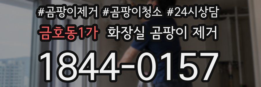 금호동1가 화장실 곰팡이 제거