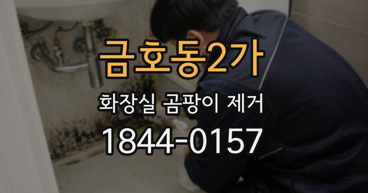 금호동2가 화장실 곰팡이 제거