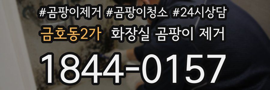 금호동2가 화장실 곰팡이 제거