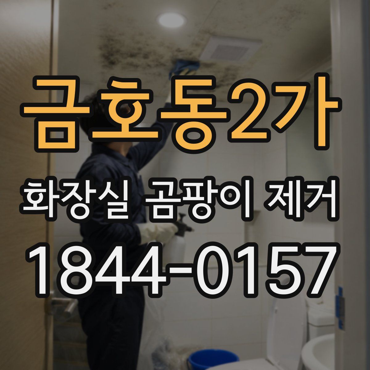 금호동2가 화장실 곰팡이 제거