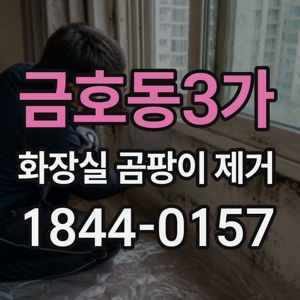 금호동3가 화장실 곰팡이 제거