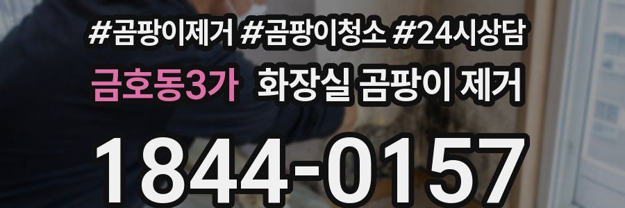 금호동3가 화장실 곰팡이 제거