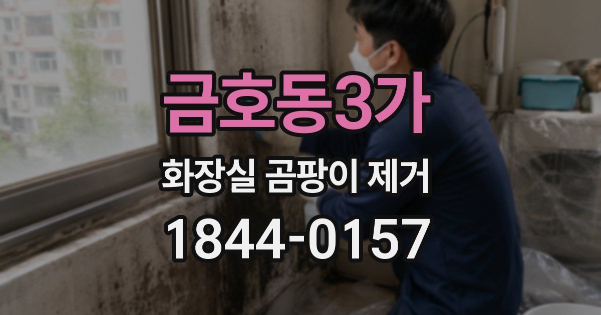 금호동3가 화장실 곰팡이 제거