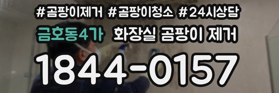 금호동4가 화장실 곰팡이 제거