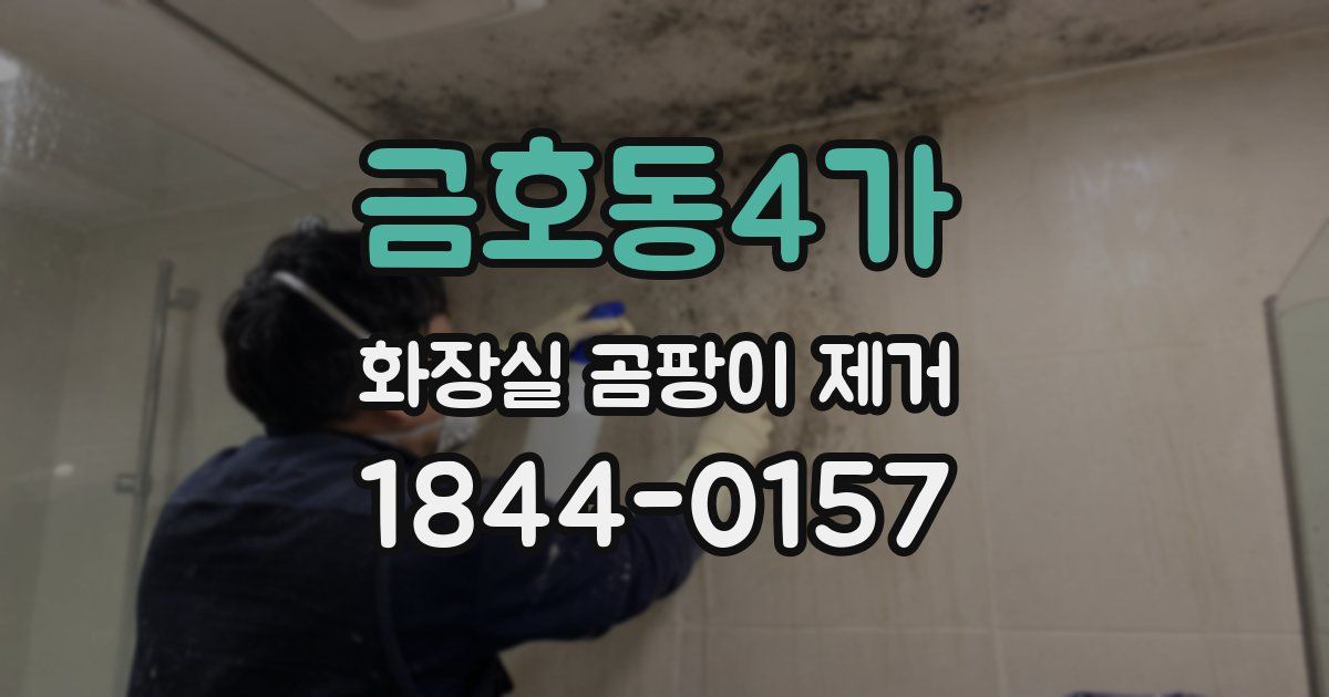 금호동4가 화장실 곰팡이 제거
