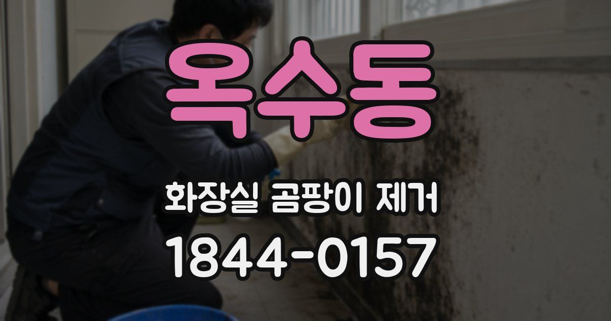 옥수동 화장실 곰팡이 제거