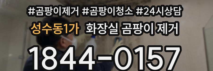 성수동1가 화장실 곰팡이 제거