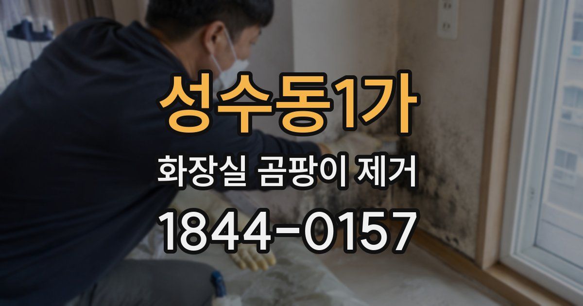 성수동1가 화장실 곰팡이 제거