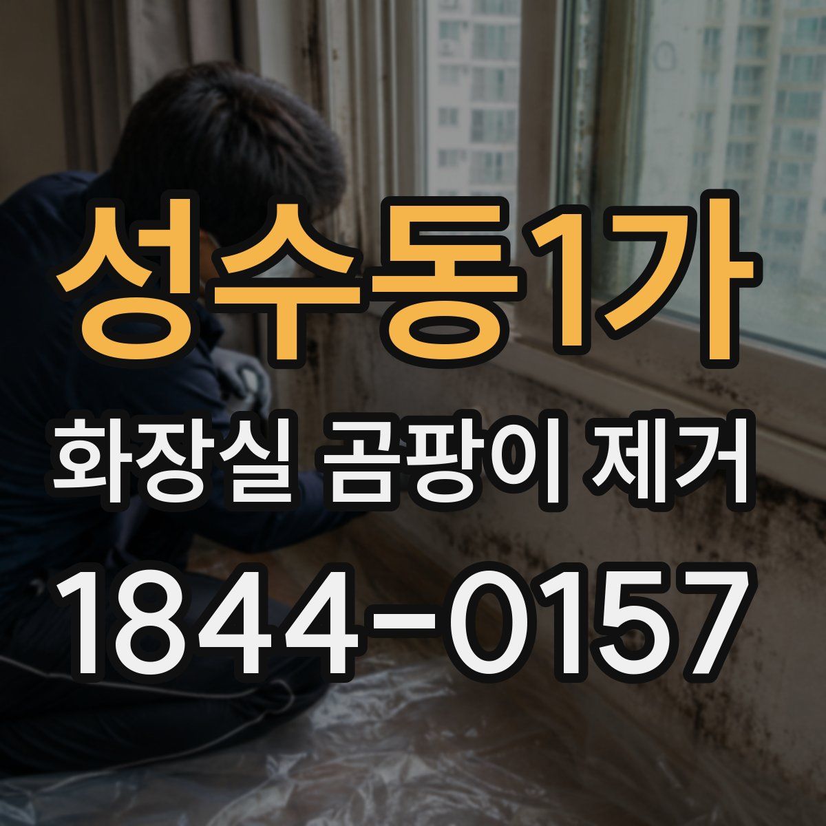 성수동1가 화장실 곰팡이 제거